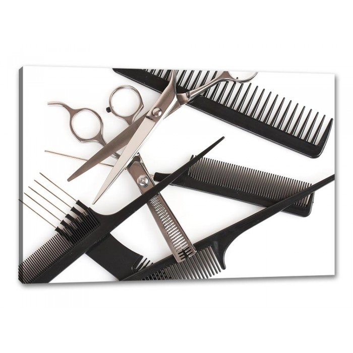 Tablou Canvas Ustensile Salon