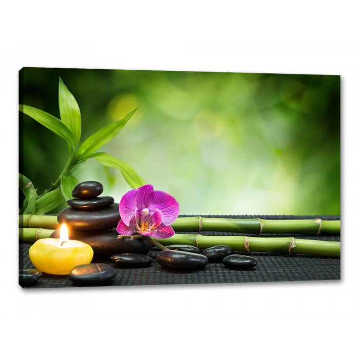 Tablou Canvas Decor bambus cu pietre spa