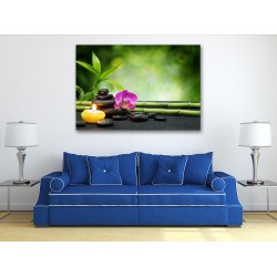 Tablou Canvas Decor bambus cu pietre spa