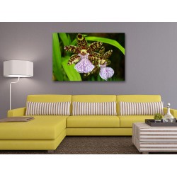 Tablou Canvas Orhidee Deschisa