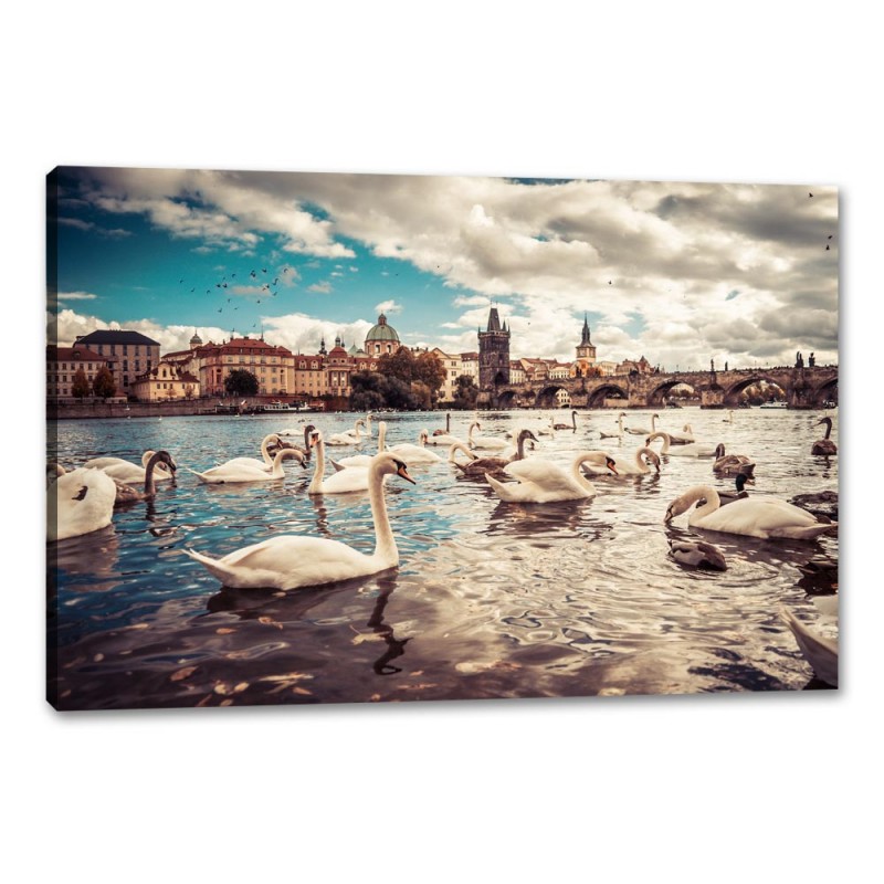 Tablou Canvas Lebede pe lac