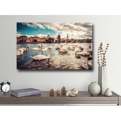 Tablou Canvas Lebede pe lac