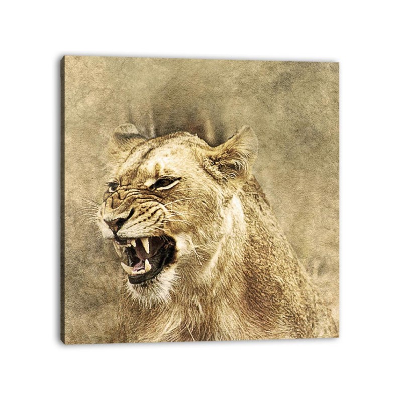 Tablou Canvas Leoaica efect vintage