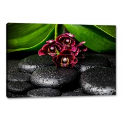 Tablou Canvas Orhidee cu pietre spa