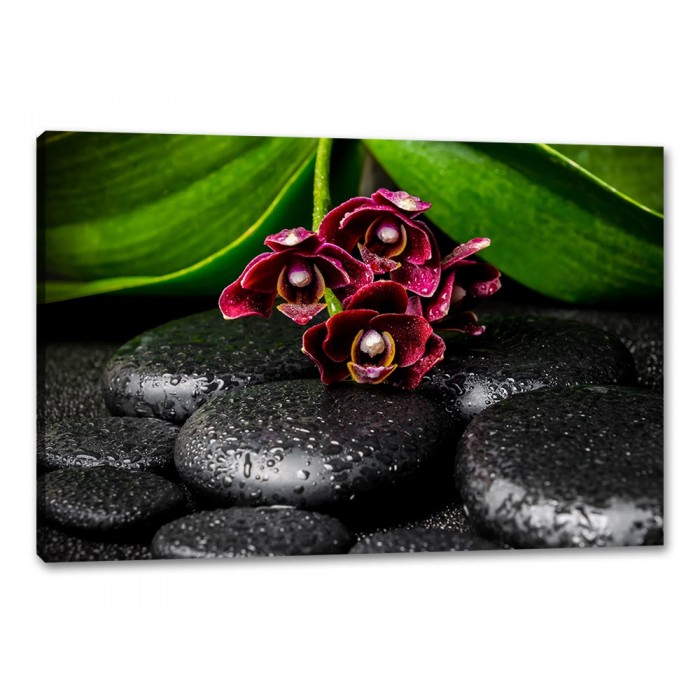 Tablou Canvas Orhidee cu pietre spa