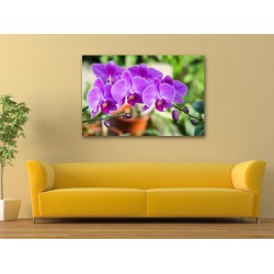 Tablou Canvas Orhidee Mov Tablou Canvas Orhidee Mov