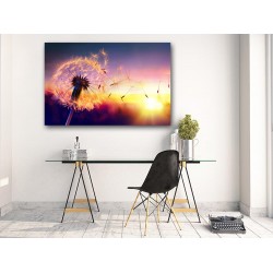 Tablou Canvas Papadie in Apus