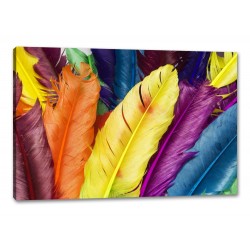 Tablou Canvas Pene Multicolor