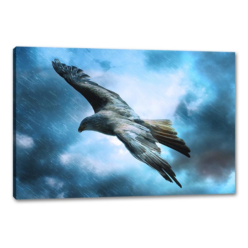 Tablou Canvas Vultur in furtuna