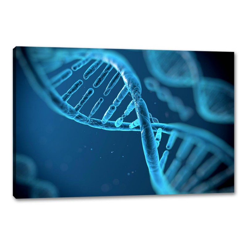 Tablou Canvas Acidul dezoxiribonucleic - ADN