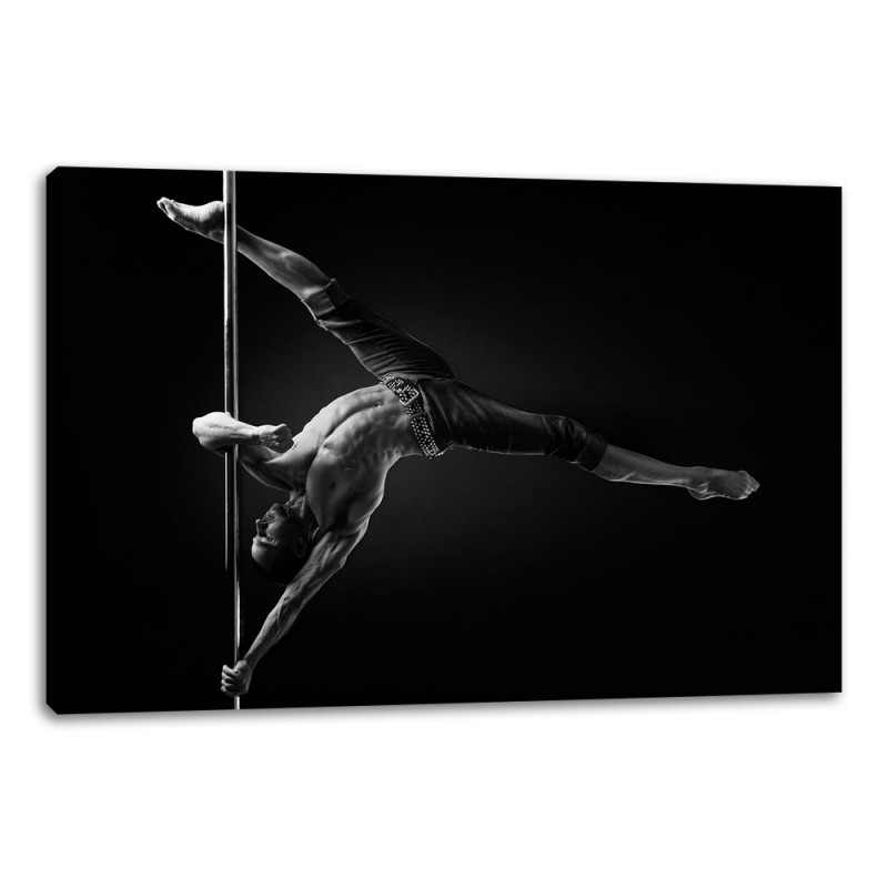 Tablou Canvas Dansator la Bara