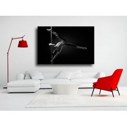 Tablou Canvas Dansator la Bara