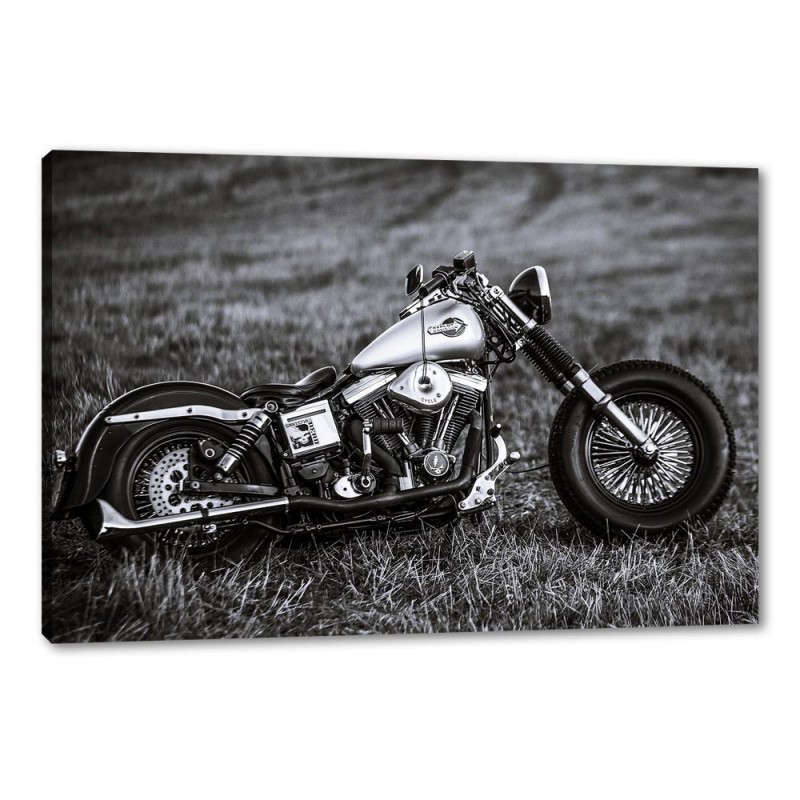 Tablou Canvas Motocicleta Harley Davison