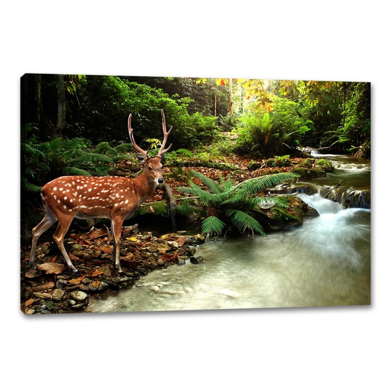 Tablou Canvas Pui de cerb