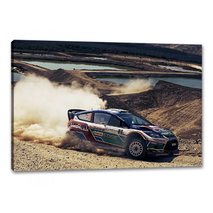 Tablou Canvas Masina de raliu Ford