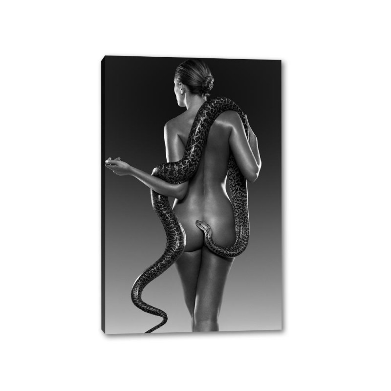 Tablou Canvas  Sexy Woman & Snake