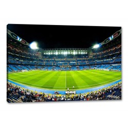 Tablou Canvas Panorama din stadion