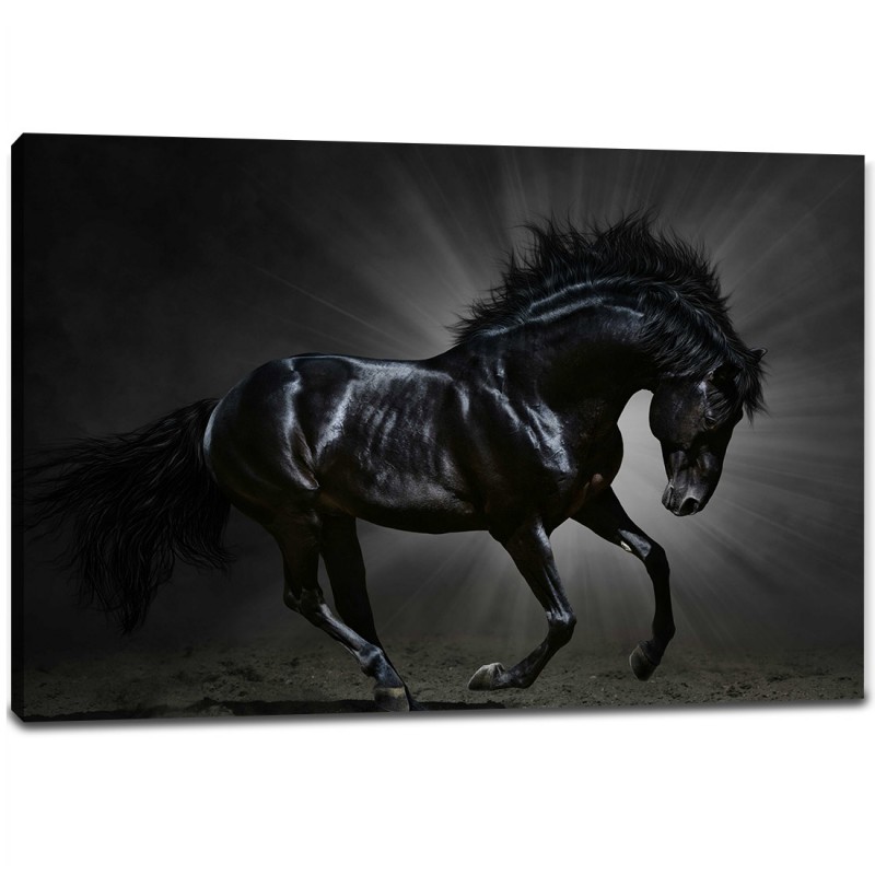 Tablou Canvas - Decor Armasar negru