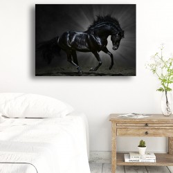 Tablou Canvas - Decor Armasar negru