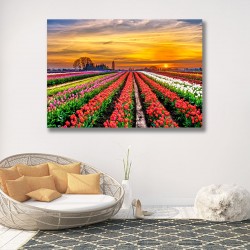 Tablou Canvas - Peisaj camp de lalele