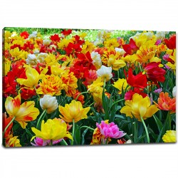 Tablou Canvas - Lalele colorate