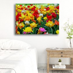 Tablou Canvas - Lalele colorate