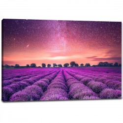 Tablou Canvas - Camp de lavanda
