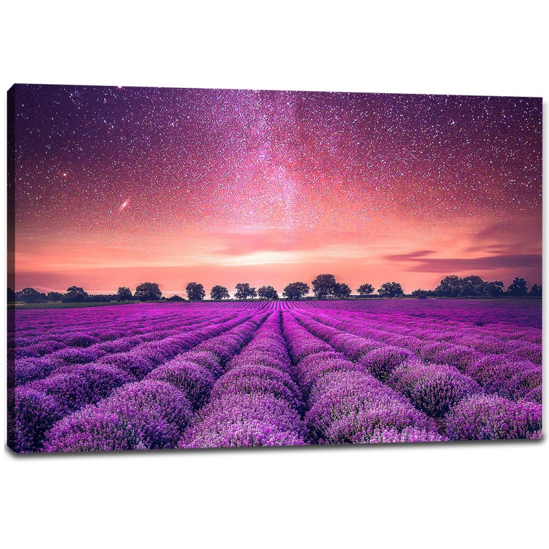 Tablou Canvas - Camp de lavanda