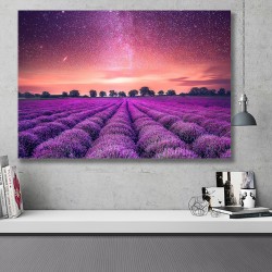 Tablou Canvas - Camp de lavanda