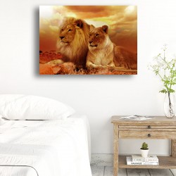 Tablou Canvas - Lei Africani