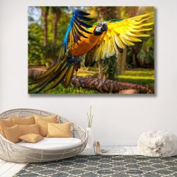 Tablou Canvas - Papagal in zbor