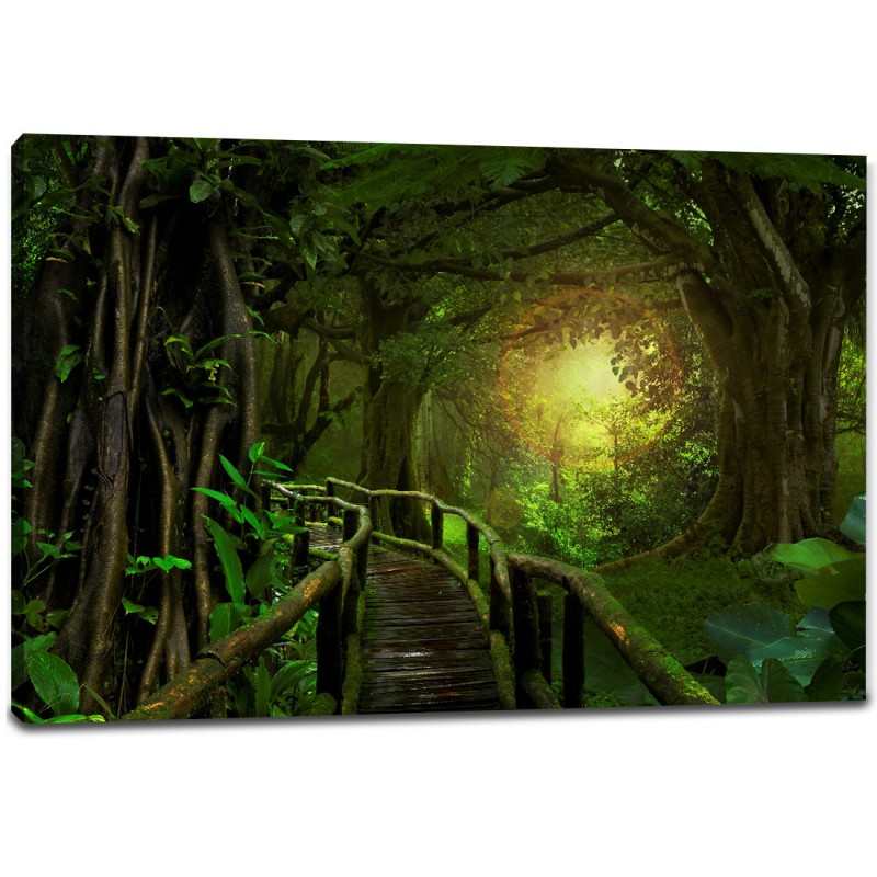 Tablou Canvas - Jungla Ecuatoriala