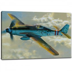 Tablou Avion de lupta