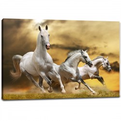 Tablou Canvas - Decor Cai Albi