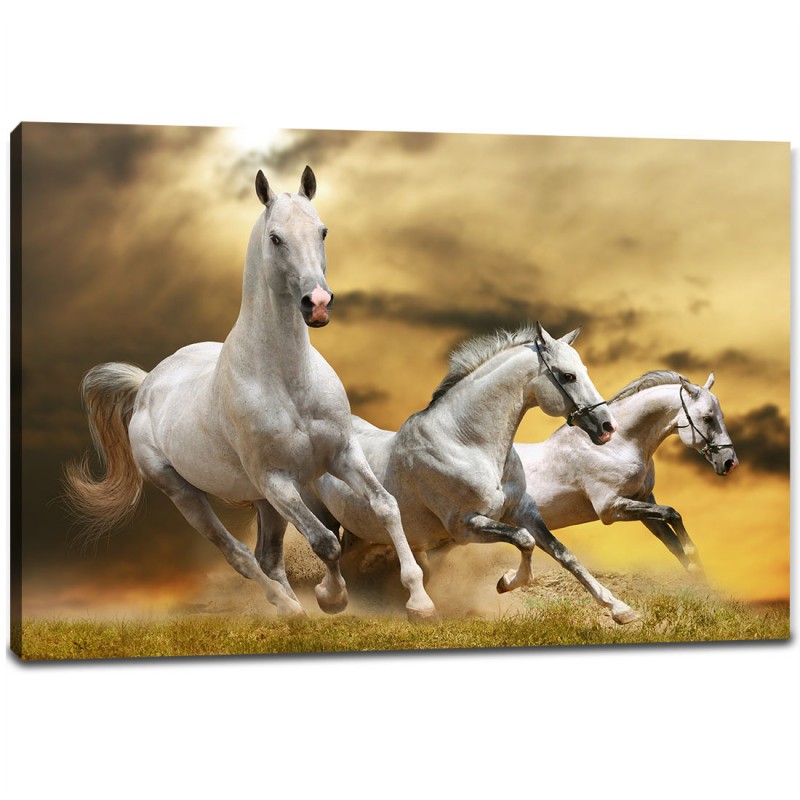 Tablou Canvas - Decor Cai Albi