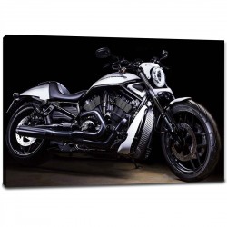 Tablou Canvas Motor Harley Davidson