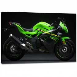 Tablou Canvas Motor Kawasaki