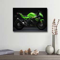 Tablou Canvas Motor Kawasaki Tablou Canvas Motor Kawasaki