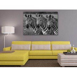 Tablou Canvas Trei Zebre