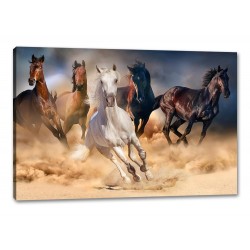 Tablou Canvas Cai In Desert