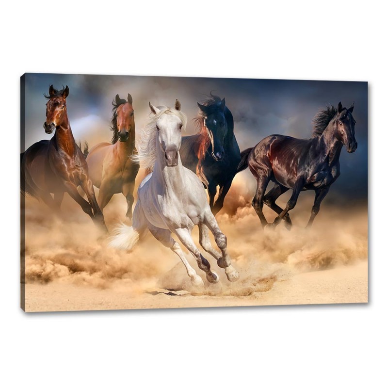 Tablou Canvas Cai In Desert Tablou Canvas Cai In Desert