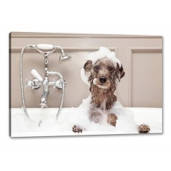 Tablou Canvas Caine La Baie