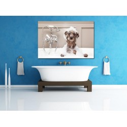 Tablou Canvas Caine La Baie