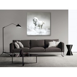 Tablou Canvas Cal Alb
