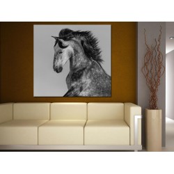 Tablou Canvas Cal Alb-Negru