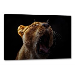 Tablou Canvas Leoaica