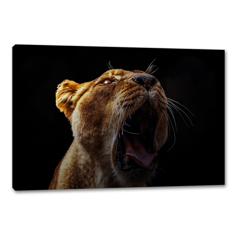 Tablou Canvas Leoaica