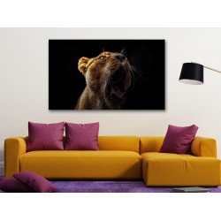 Tablou Canvas Leoaica