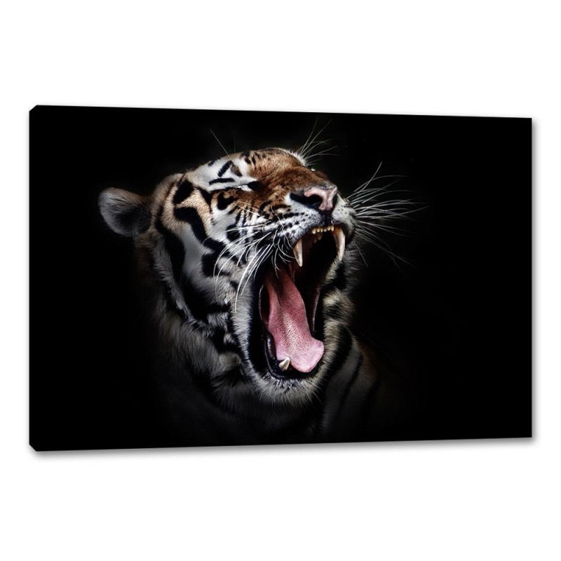 Tablou Canvas Cap De Tigru
