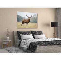 Tablou Canvas Cerb In Natura